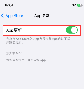 宁武苹果15维修中心如何让iPhone15APP自动更新